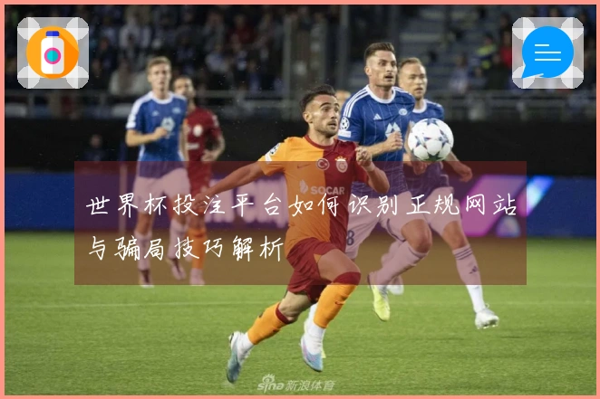 世界杯投注平台如何识别正规网站与骗局技巧解析