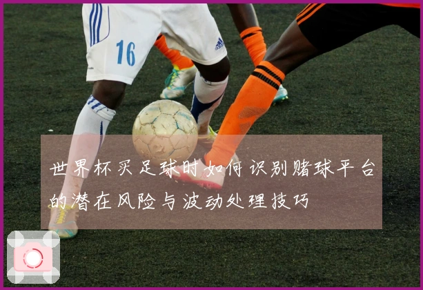 世界杯买足球时如何识别赌球平台的潜在风险与波动处理技巧