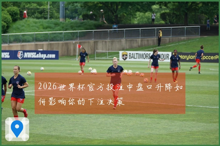 2026世界杯官方投注中盘口升降如何影响你的下注决策