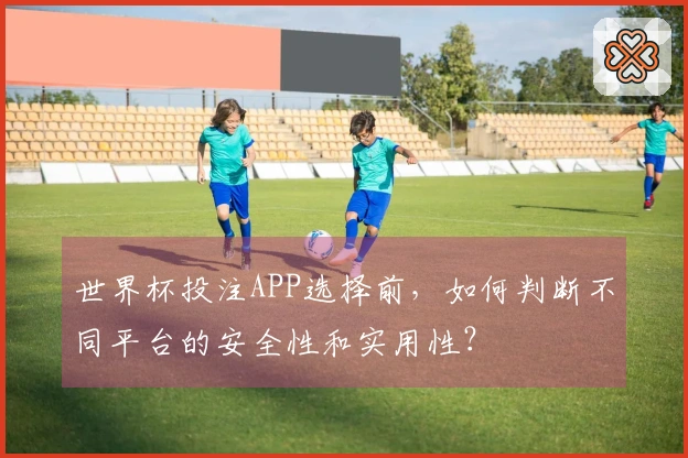 世界杯投注APP选择前，如何判断不同平台的安全性和实用性？