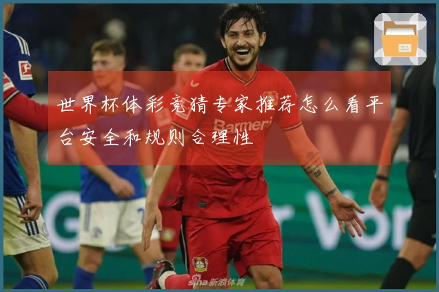 世界杯体彩竞猜专家推荐怎么看平台安全和规则合理性