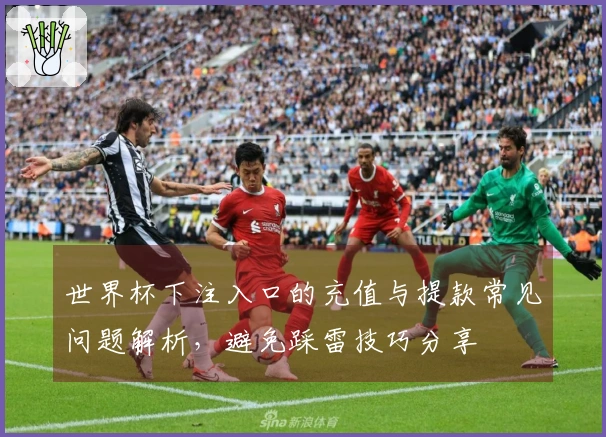 世界杯下注入口的充值与提款常见问题解析，避免踩雷技巧分享