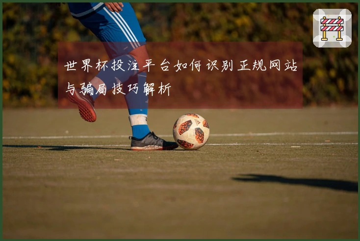 世界杯投注平台如何识别正规网站与骗局技巧解析