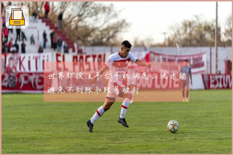世界杯投注平台手机端怎么玩才能避免不到账和账号被封