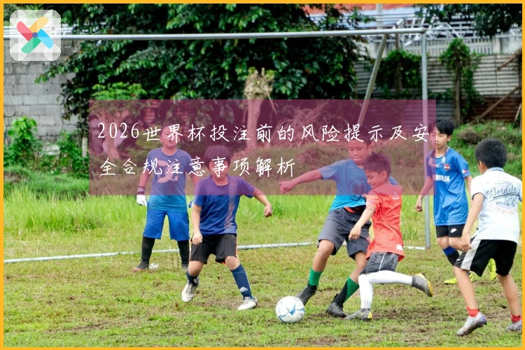 2026世界杯投注前的风险提示及安全合规注意事项解析