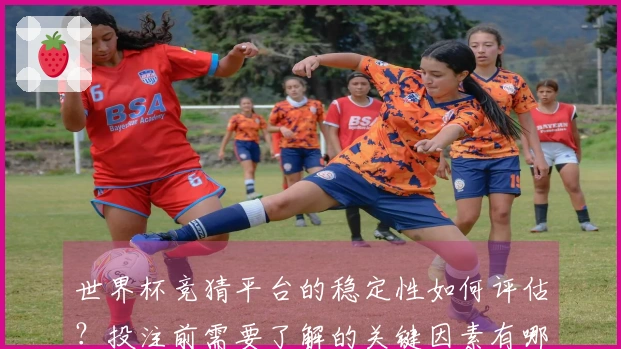 世界杯竞猜平台的稳定性如何评估？投注前需要了解的关键因素有哪些