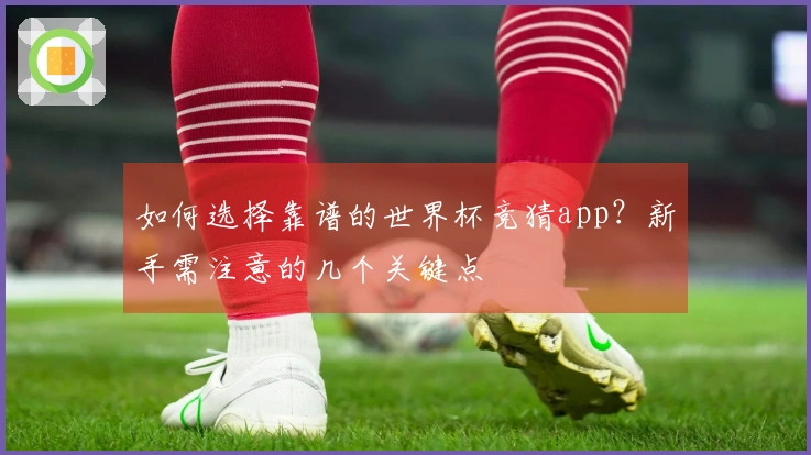 如何选择靠谱的世界杯竞猜app？新手需注意的几个关键点