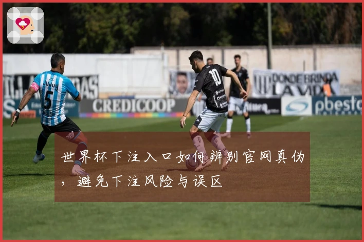 世界杯下注入口如何辨别官网真伪，避免下注风险与误区