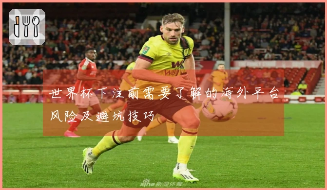 世界杯下注前需要了解的海外平台风险及避坑技巧