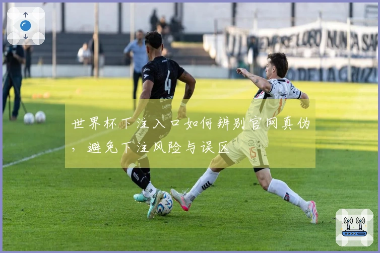 世界杯下注入口如何辨别官网真伪，避免下注风险与误区
