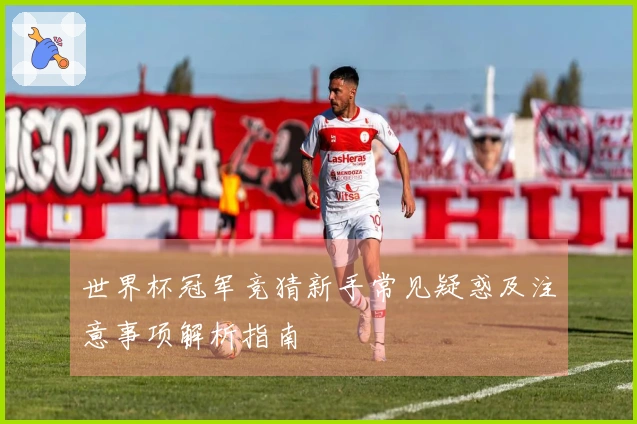 世界杯冠军竞猜新手常见疑惑及注意事项解析指南
