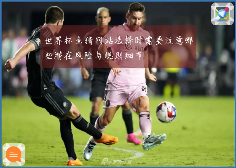 世界杯竞猜网站选择时需要注意哪些潜在风险与规则细节