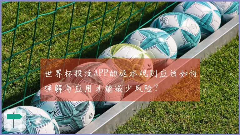 世界杯投注APP的返水规则应该如何理解与应用才能减少风险？