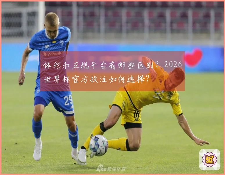 体彩和正规平台有哪些区别？2026世界杯官方投注如何选择？