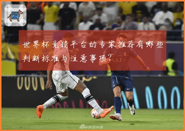 世界杯竞猜平台的专家推荐有哪些判断标准与注意事项？