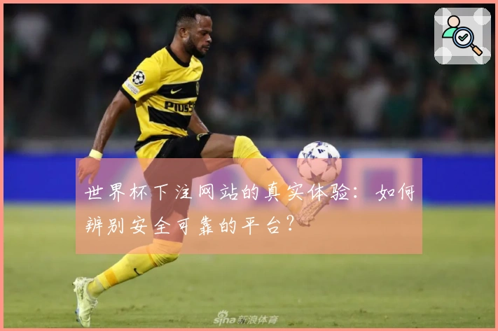 世界杯下注网站的真实体验：如何辨别安全可靠的平台？