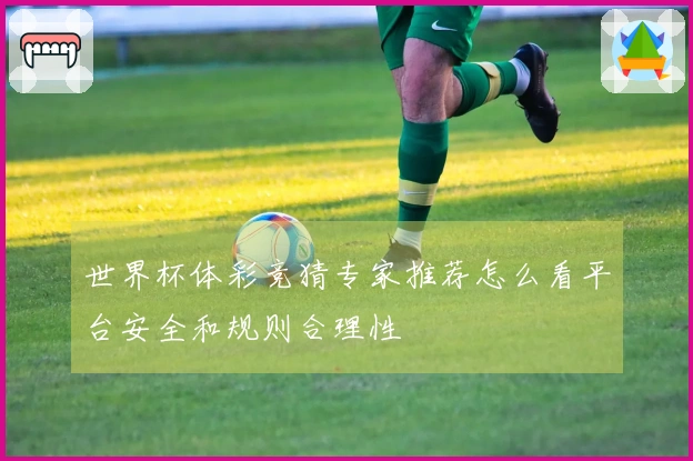 世界杯体彩竞猜专家推荐怎么看平台安全和规则合理性