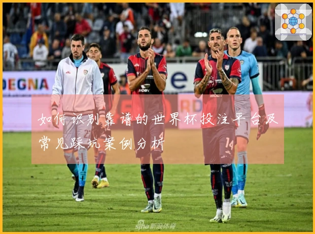 如何识别靠谱的世界杯投注平台及常见踩坑案例分析
