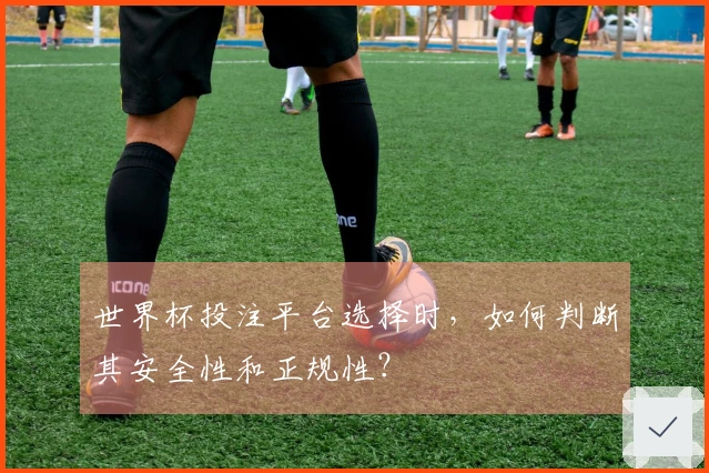 世界杯投注平台选择时，如何判断其安全性和正规性？