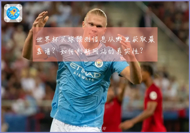 世界杯买球预测信息从哪里获取最靠谱？如何判断网站的真实性？