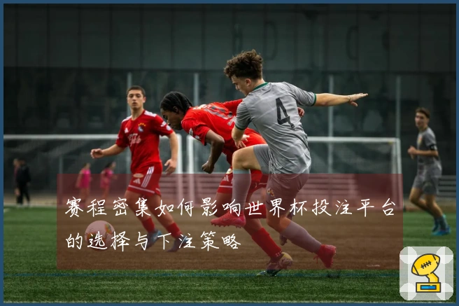 赛程密集如何影响世界杯投注平台的选择与下注策略