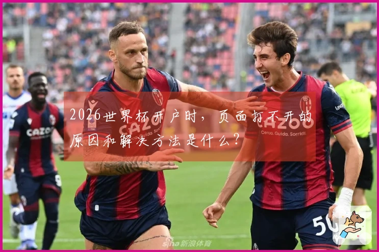 2026世界杯开户时，页面打不开的原因和解决方法是什么？