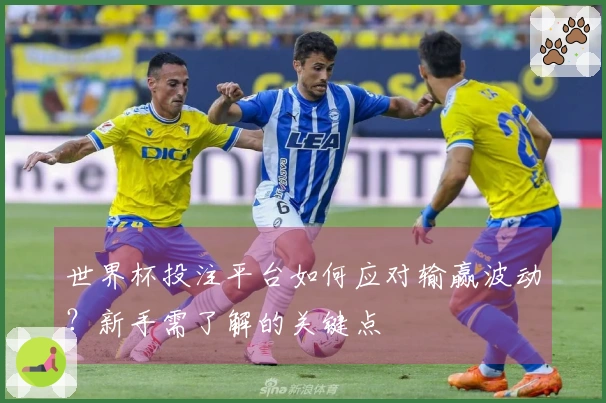 世界杯投注平台如何应对输赢波动？新手需了解的关键点