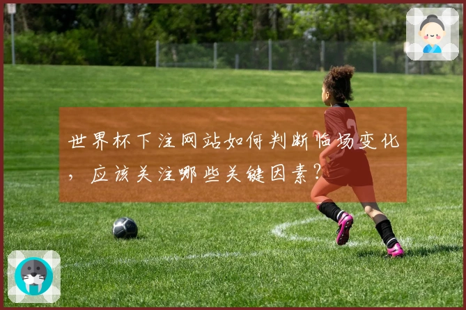 世界杯下注网站如何判断临场变化，应该关注哪些关键因素？