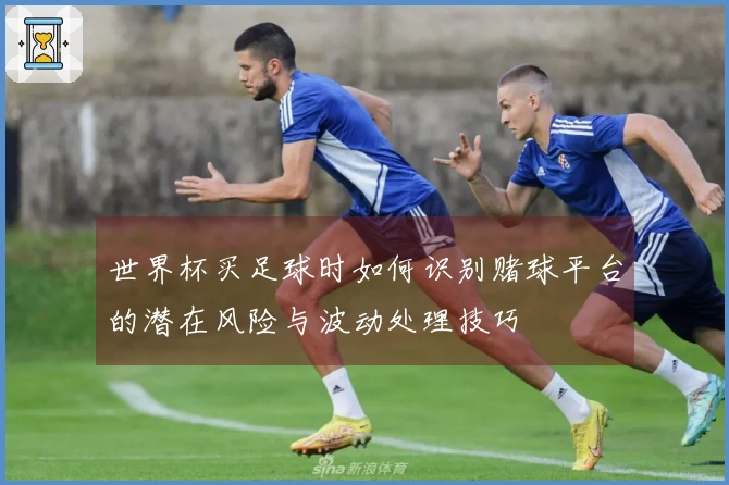 世界杯买足球时如何识别赌球平台的潜在风险与波动处理技巧