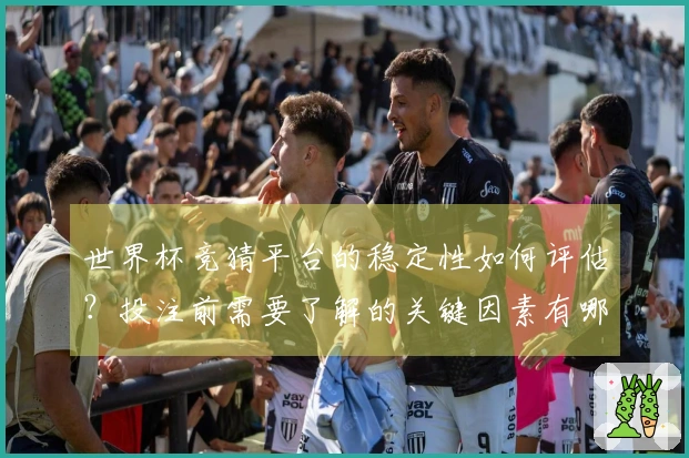世界杯竞猜平台的稳定性如何评估？投注前需要了解的关键因素有哪些