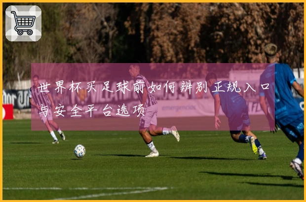 世界杯买足球前如何辨别正规入口与安全平台选项