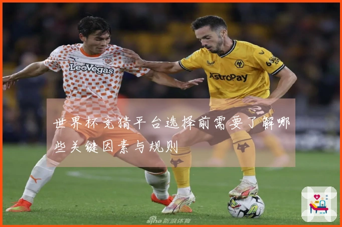 世界杯竞猜平台选择前需要了解哪些关键因素与规则
