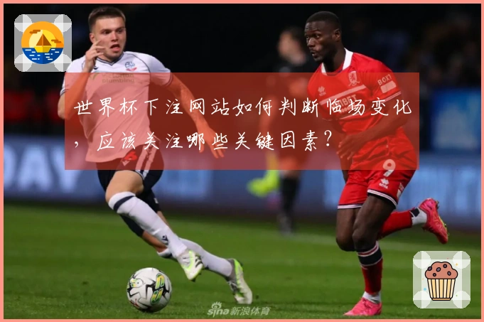 世界杯下注网站如何判断临场变化，应该关注哪些关键因素？